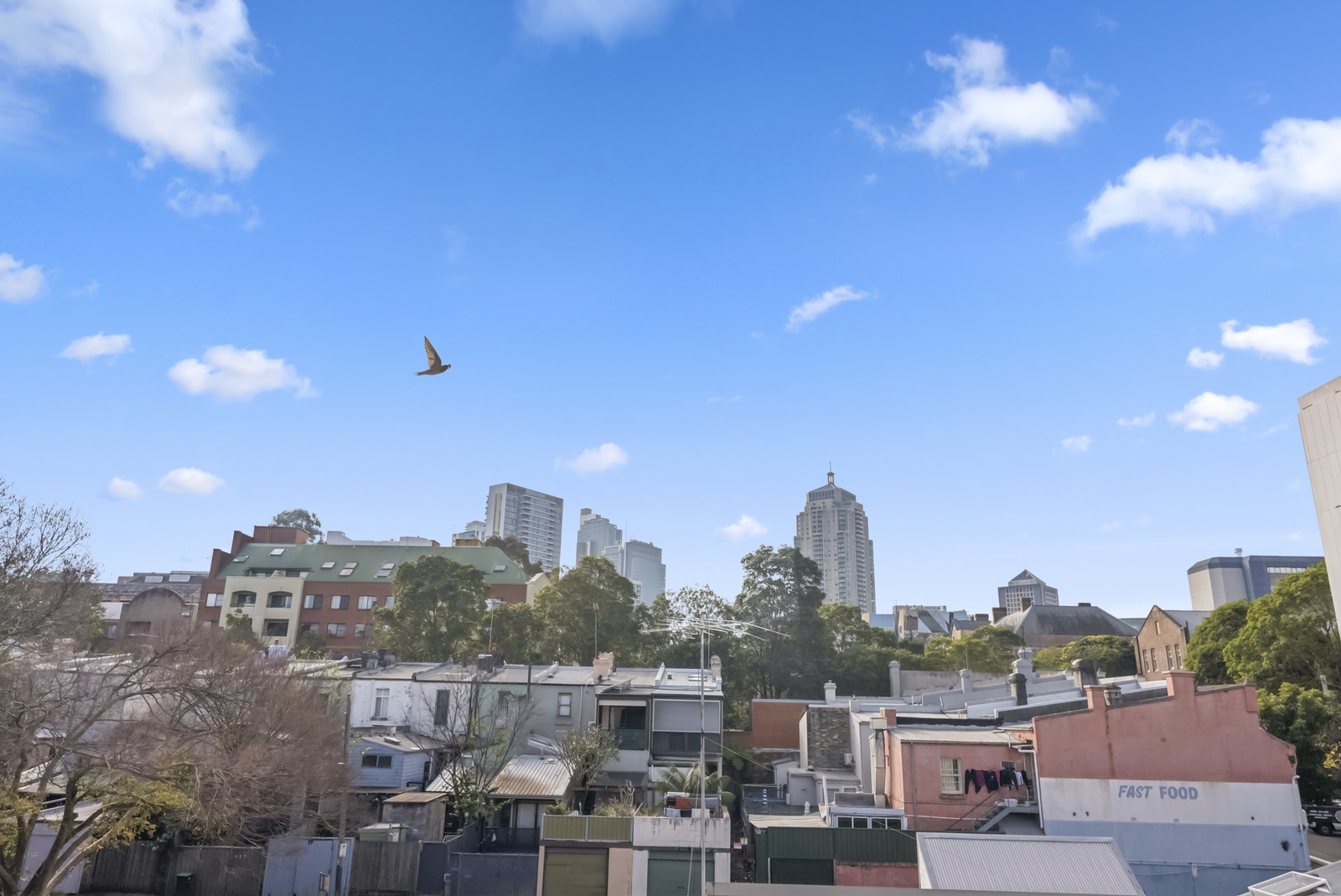 005_Open2view_ID960585-478_-_492_Wattle_Street__Ultimo